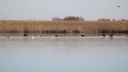 AUDIO | Cum poate fi valorificat potențialul turistic al Deltei în sezonul rece