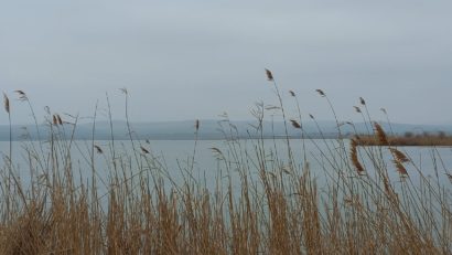 Vreme închisă în Dobrogea și pe litoral
