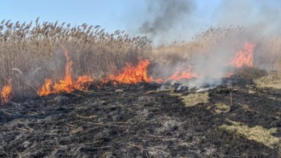 AUDIO | Multe incendii de vegetație uscată se produc din cauza caniculei