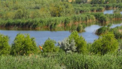 TULCEA: Proiectul ARBDD „Ranger Junior în Delta Dunării”, aprobat de Ministerul Mediului