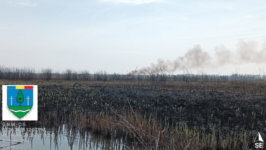 FOTO/TULCEA: 100.000 de lei amendă pentru un operator economic care a incendiat vegetație în Delta Dunării