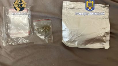 TULCEA: Nouă persoane au fost reținute într-un dosar de trafic de droguri de risc