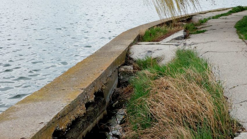 maluri,, mal stricat Lacul Tabacarie - foto - da