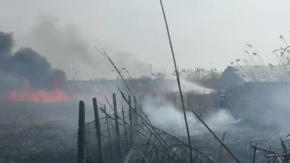 TULCEA: Incendiu puternic de vegetație în localitatea Isaccea