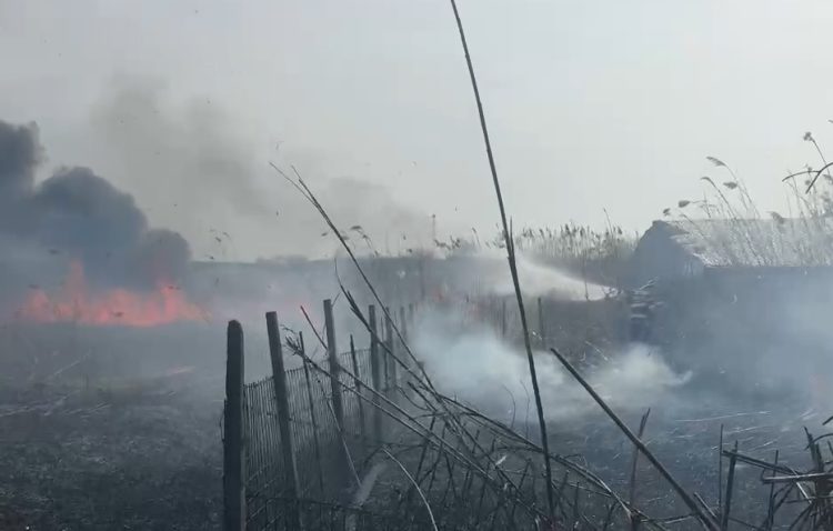 TULCEA: Incendiu puternic de vegetație în localitatea Isaccea