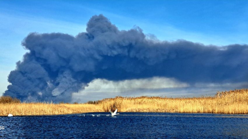TULCEA: În Deltă, suprafaţa afectată de incendii a crescut de peste trei ori, în ultimii zece ani