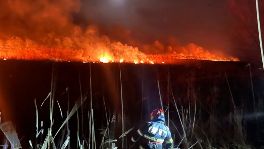 (VIDEO) TULCEA: Noi incendii de vegetație și stuf, în zonele Sarichioi și Garvăn