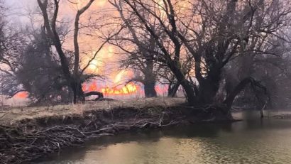 VIDEO | TULCEA: Delta Dunării în flăcări!