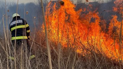 IPJ Tulcea: Cei care provoacă incendii de vegetație riscă inclusiv pedepse cu ÎNCHISOAREA