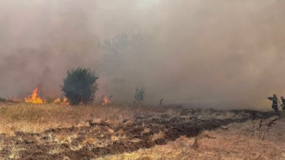 AUDIO | TULCEA: Incendierea vegetației pentru curățarea terenurilor – o practică ilegală și periculoasă!