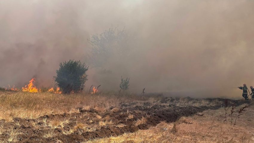AUDIO | TULCEA: Incendierea vegetației pentru curățarea terenurilor – o practică ilegală și periculoasă!