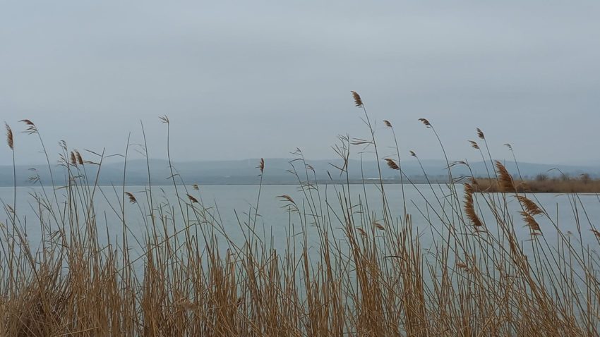 Cer variabil, duminică, în Dobrogea