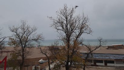 Temperaturi în scădere, ploi și vânt puternic, în Dobrogea