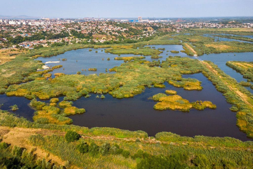 Delta Dunarii - foto - OMD Tulcea