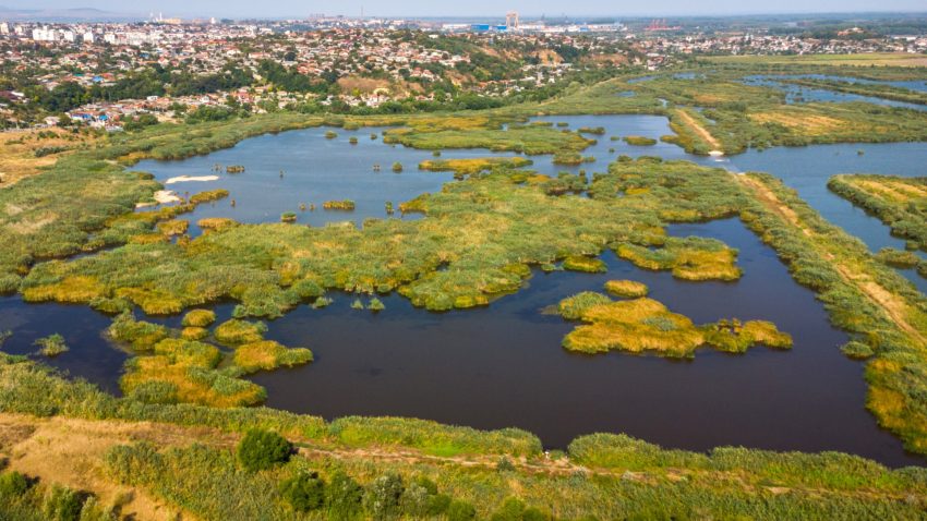 Delta Dunarii - foto - OMD Tulcea