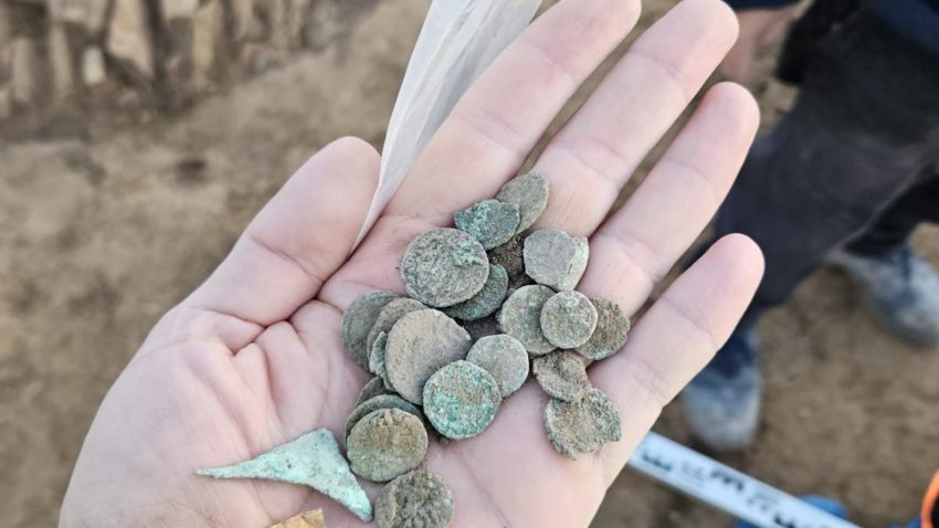 Sesiunea Națională de Rapoarte Arheologice, la Muzeul de Istorie Națională și Arheologie Constanța