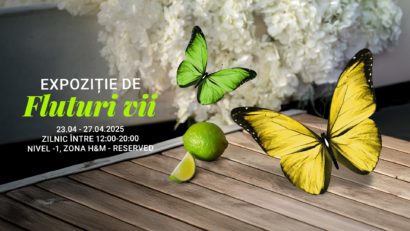 CONSTANȚA: Expoziții spectaculoase – fluturi tropicali și reptile exotice