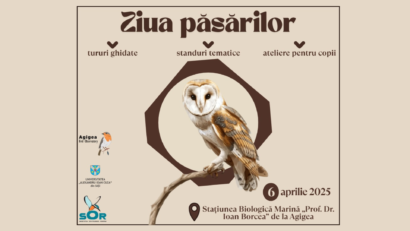 AUDIO | Ziua Păsărilor, la Staţiunea Biologică Marină de la Agigea