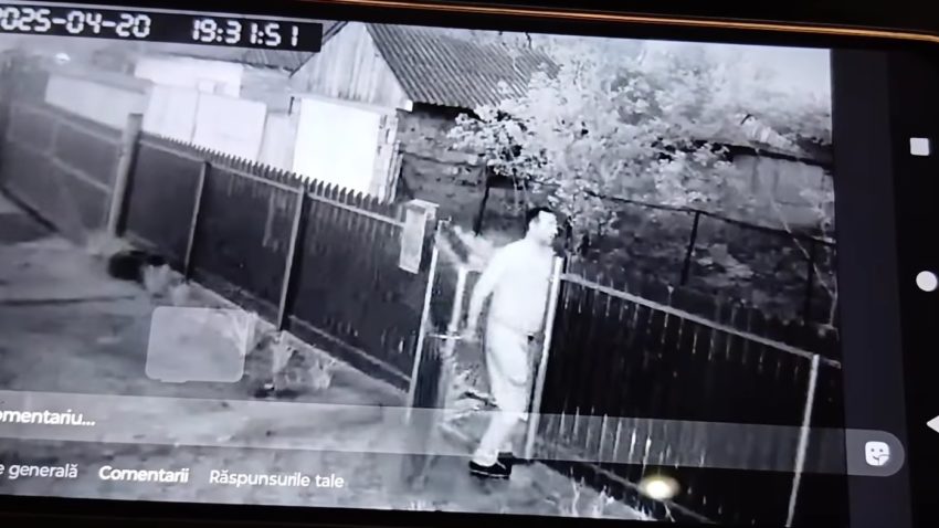 Suspectul în cazul uciderii celor doi câini din Luncavița, plasat în arest la domiciliu