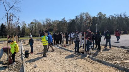 CONSTANȚA: Peste 140 de arbori au fost plantați astăzi în incinta Palatului Copiilor