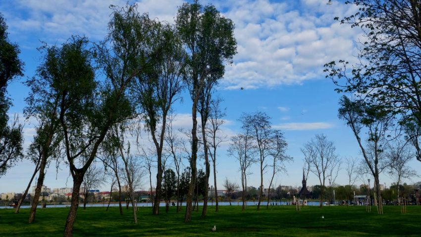 Vremea va fi frumoasă în Dobrogea, iar temperaturile încep să crească