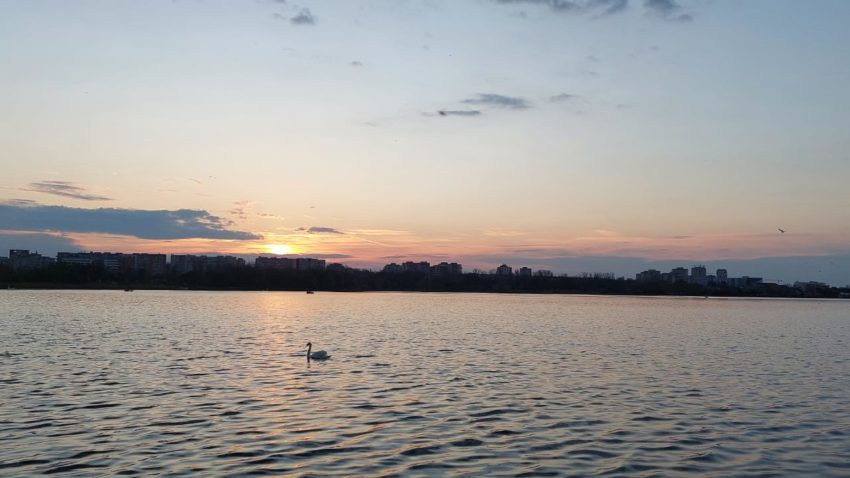 Lacul Tabacarie, vreme, asfintit, lebada - foto - ds