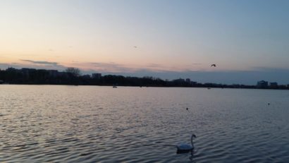 Vremea va fi normală termic, în Dobrogea și pe litoral