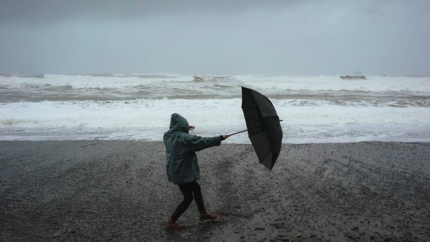 Frig, vânt alert și fulguieli, în Dobrogea