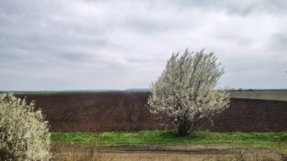 Vremea rămâne închisă și mai rece decât normalul perioadei, în Dobrogea și pe litoral