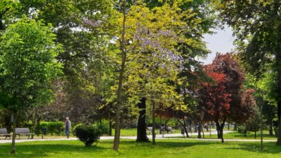 Vremea se încălzește ușor, în Dobrogea și pe litoral