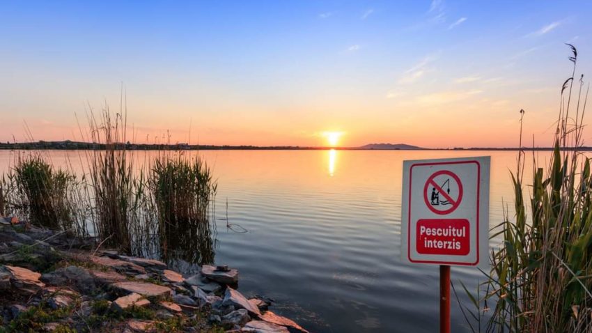 Începe prohibiția generală a pescuitului în România