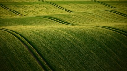 AUDIO | Culturile agricole din Dobrogea sunt în limite normale în privința necesarului de apă