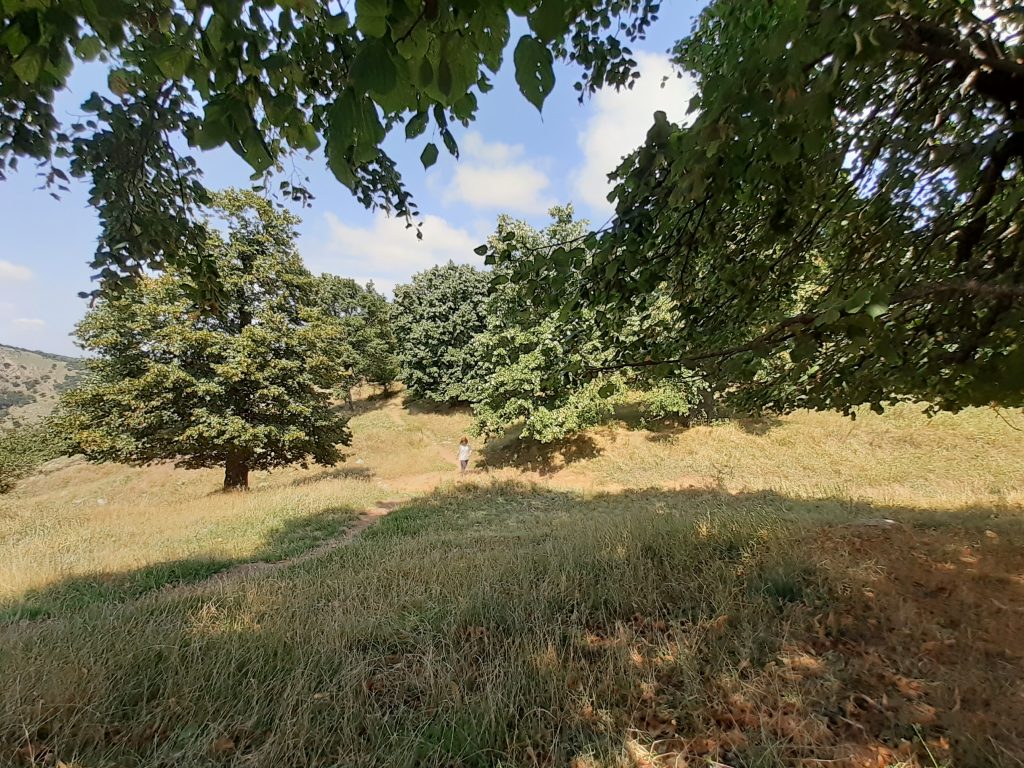 Muntii Macinului - foto - Liliana Fustanela