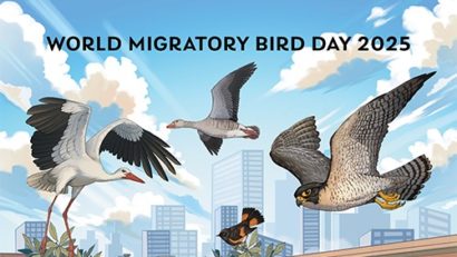 10 mai – Ziua Mondială a Păsărilor Migratoare