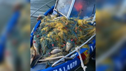 TULCEA: Doi kilometri de plase cu o captură de 170 de kilograme de pește, confiscate de polițiști