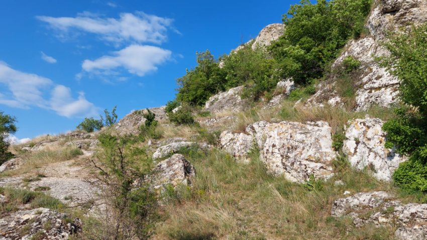 Cheile Dobrogei - foto - ds