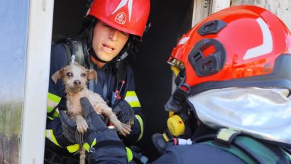 TULCEA: Cățel salvat de pompieri dintr-o locuință care a luat foc