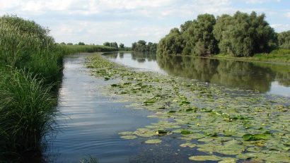 Vreme normală termic, în Dobrogea și pe litoral