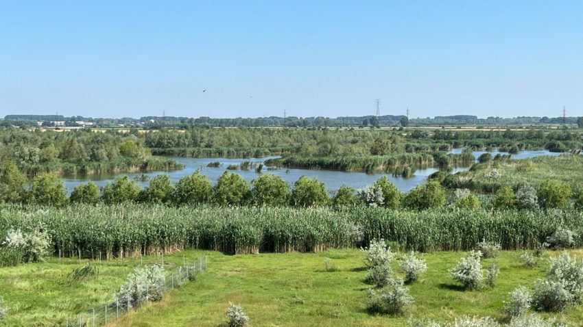TULCEA: Ateliere de scriere creativă în şcolile din Deltă