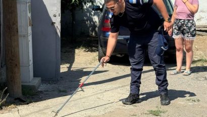 CONSTANȚA: Jandarmii au fost solicitați pentru a prinde un șarpe de peste 1,5 metri, urcat într-un copac