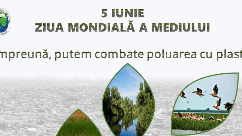 Pe 5 iunie este celebrată Ziua Mondială a Mediului