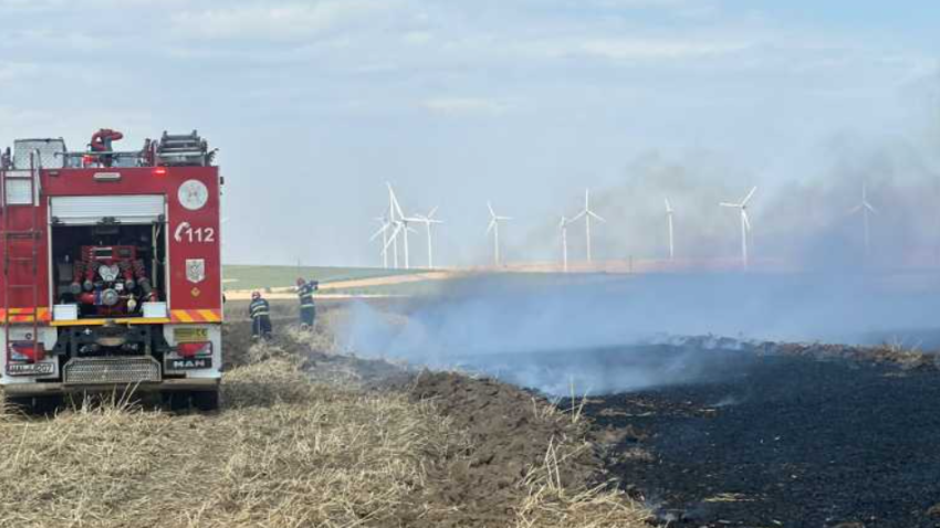 TULCEA: Aproape 10 hectare de cultură agricolă, arse într-un incendiu pornit cel mai probabil de la o țigară