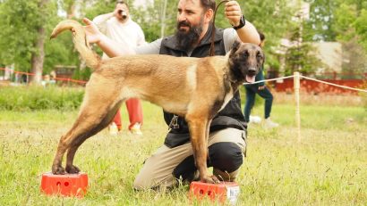 Înscrieri suplimentare la UrbanDog Grand Prix – Canicross Neptun 2025