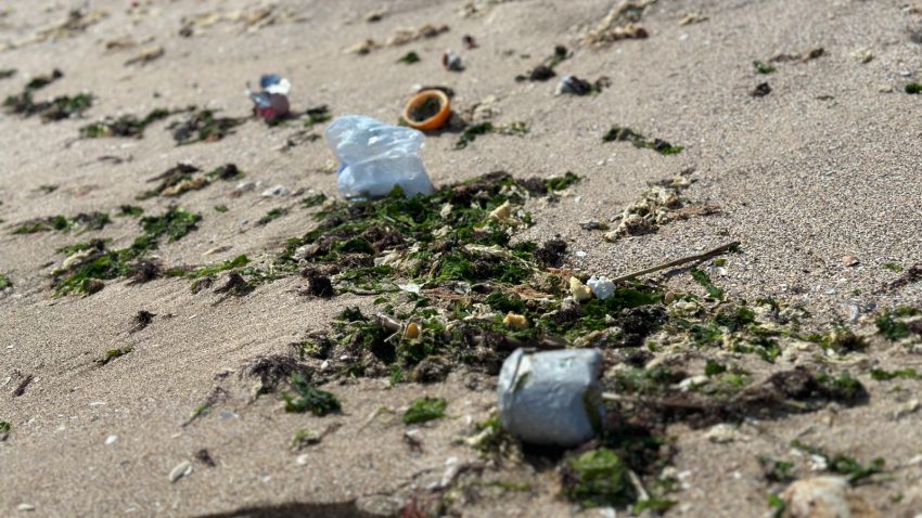 ONG Mare Nostrum: Litoralul românesc are, în continuare, mai mult plastic decât scoici?