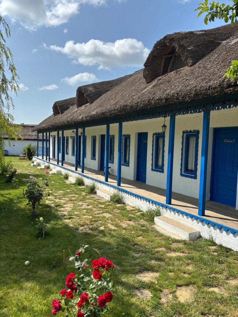 curtea Gospodariei Traditionale „Suvenir din Dobrogea” – foto - MAP