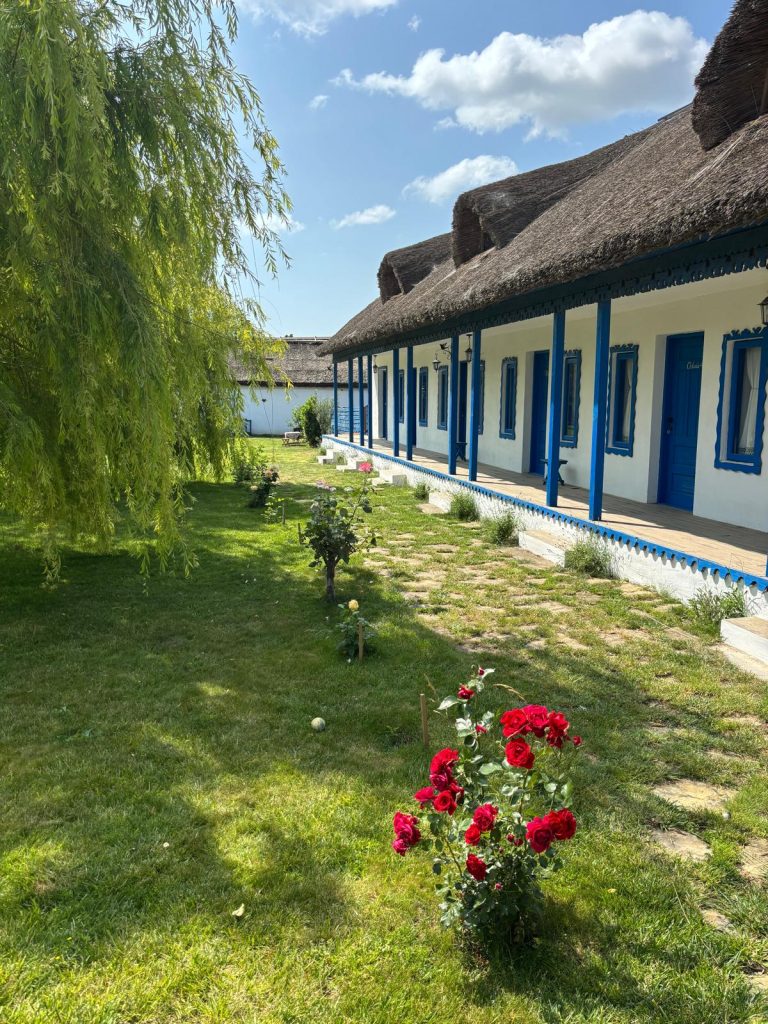 curtea Gospodariei Traditionale „Suvenir din Dobrogea” – foto - MAP
