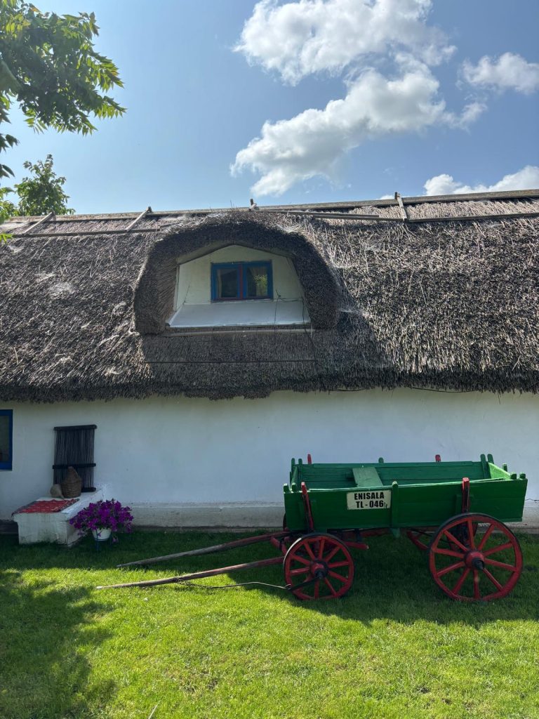 curtea Gospodariei Traditionale „Suvenir din Dobrogea” – foto - MAP
