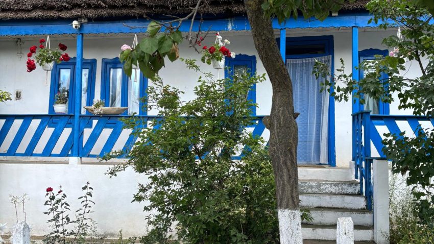 curtea Gospodariei Traditionale „Suvenir din Dobrogea” – foto - MAP