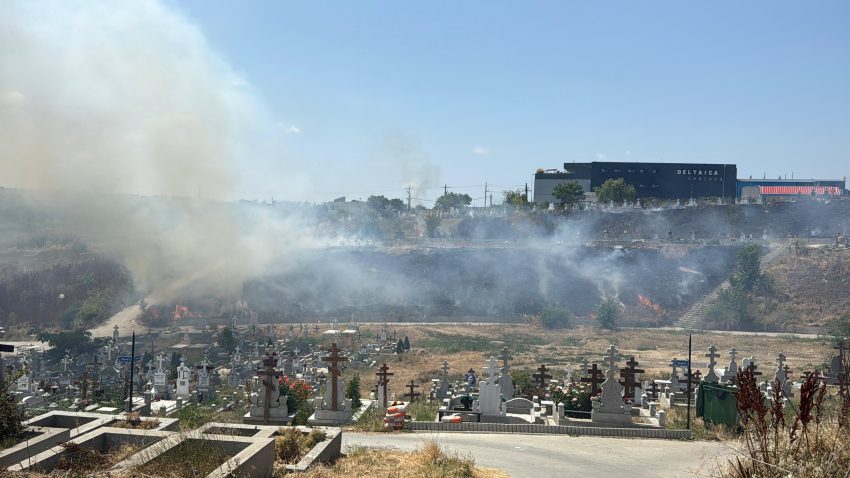 UPDATE / TULCEA: Pompierii intervin la stingerea unui incendiu de vegetație uscată în cimitirul din oraș