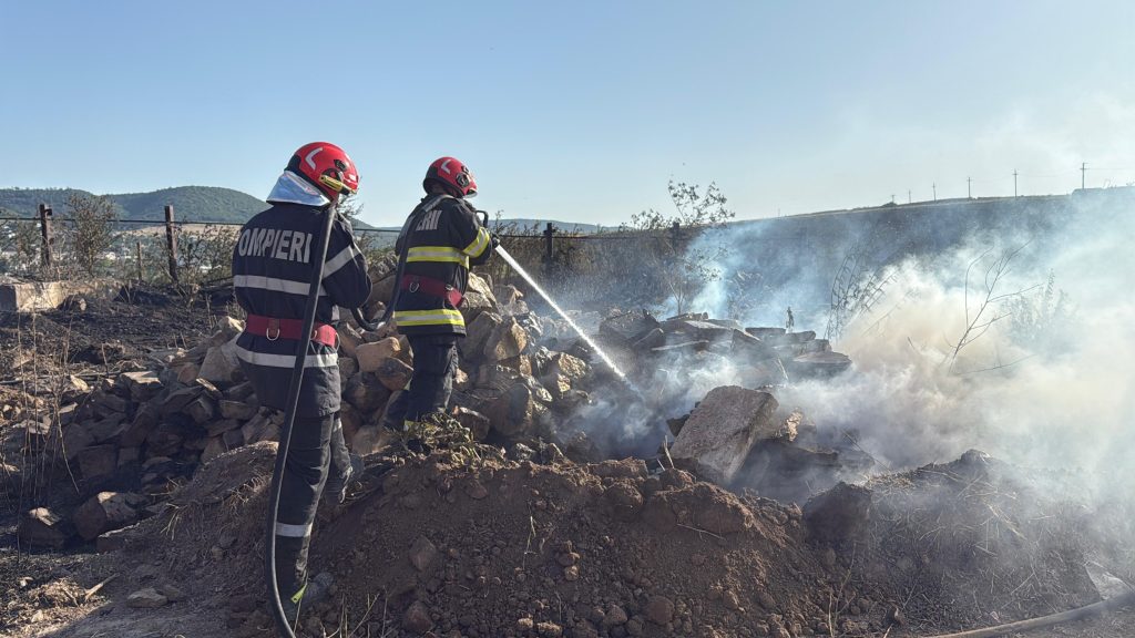 incendii vegetatie - ISU Tulcea
